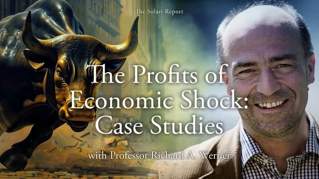 The Profits of Economic Shock: Case Studies with Professor Richard A. Werner