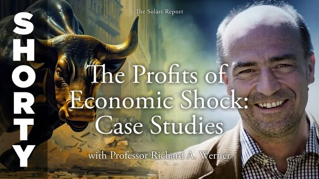 The Profits of Economic Shock: Case Studies with Professor Richard A. Werner - Shorty