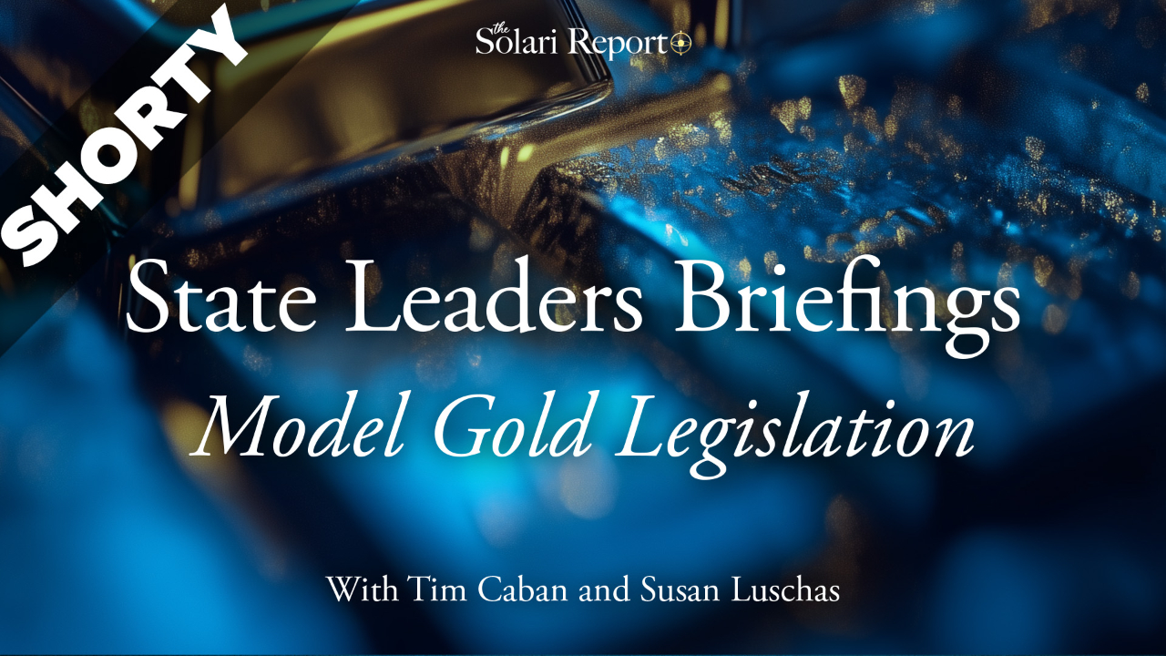State Leader Briefings: Model Gold Legislation with Tim Caban and Susan Luschas - Shorty